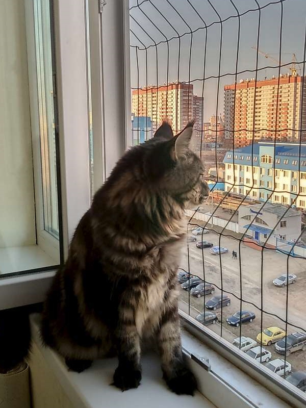 Виды решеток на окна 2