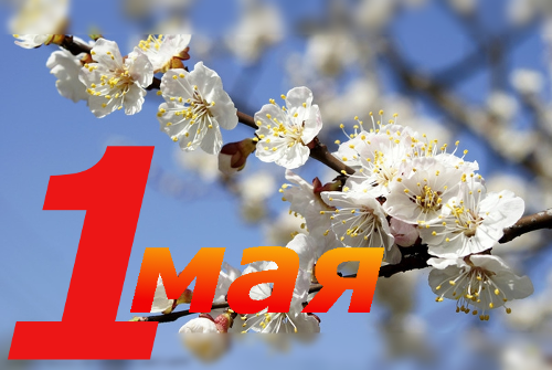 Режим работы в майские праздники