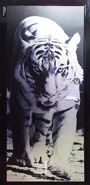 Новые входные двери с фотопанелью