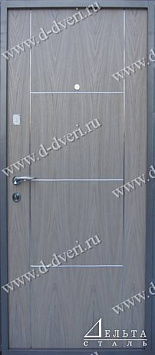 Дверь с рисунком на металле и МДФ шпон с молдингом